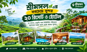 শ্রীমঙ্গলের সেরা ২০ রিসোর্ট ও হোটেল